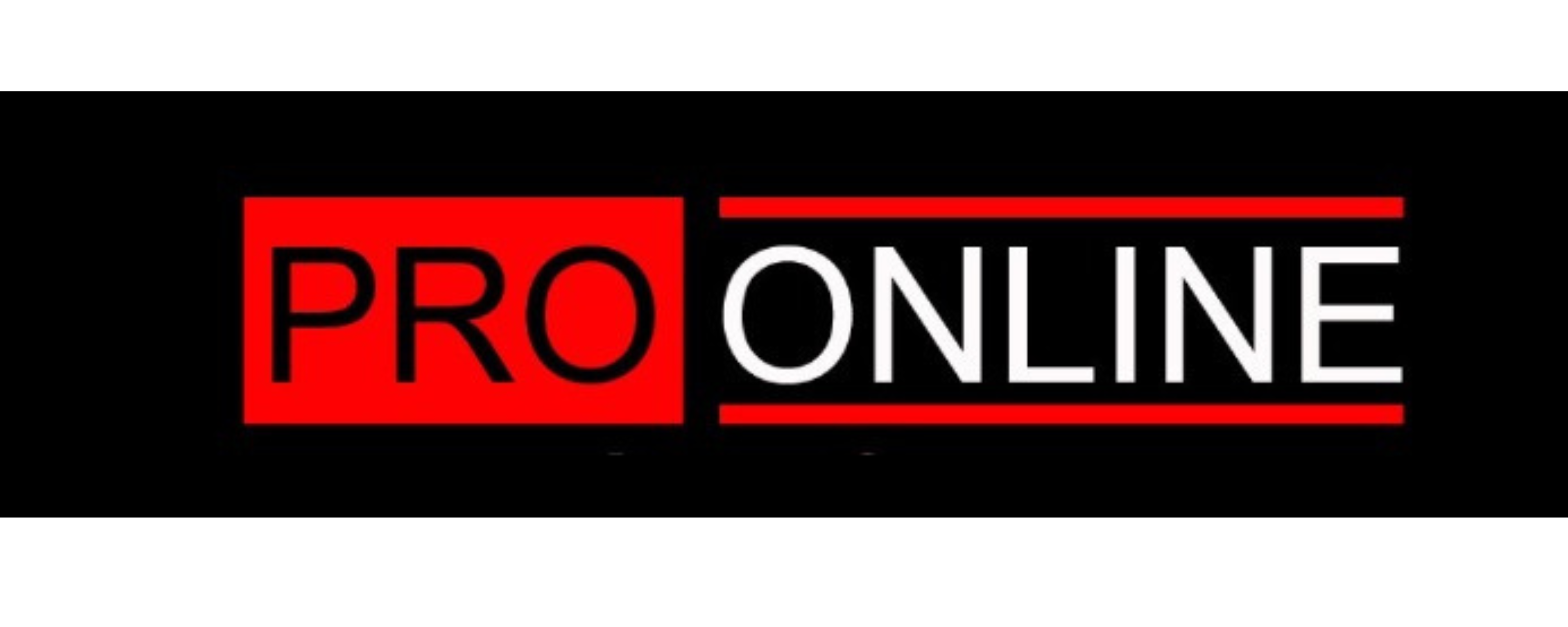 PRO ONLINE INDONESIA